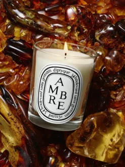 Ambre (Amber) Small Candle-Diptyque Flash Sale