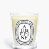 Aubépine (Hawthorn) Classic Candle-Diptyque Online