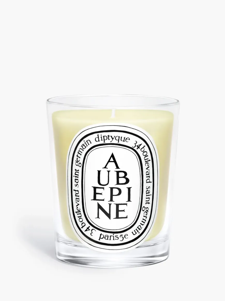 Aubépine (Hawthorn) Classic Candle-Diptyque Online