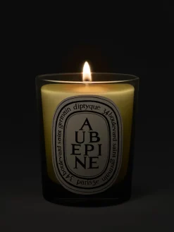 Aubépine (Hawthorn) Classic Candle-Diptyque Online