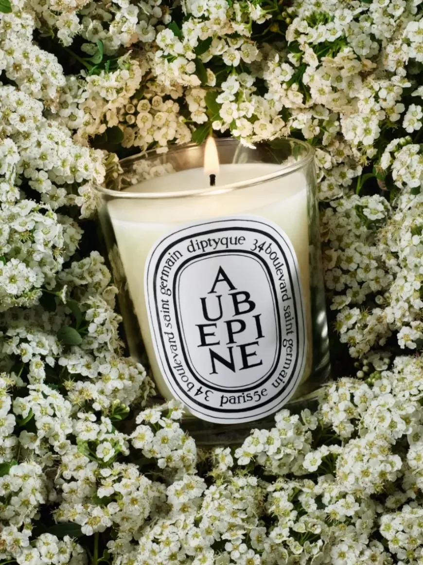 Aubépine (Hawthorn) Classic Candle-Diptyque Online