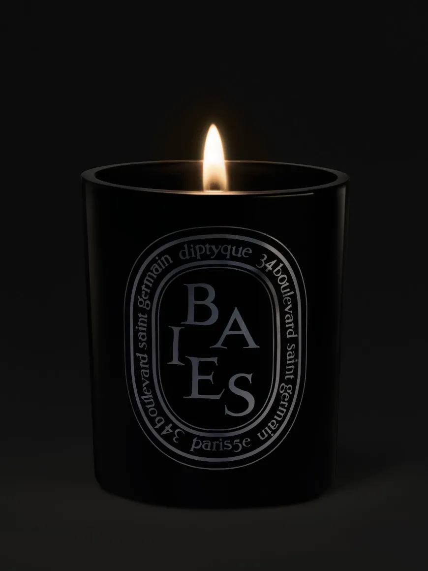 Baies (Berries) Medium Candle-Diptyque Shop