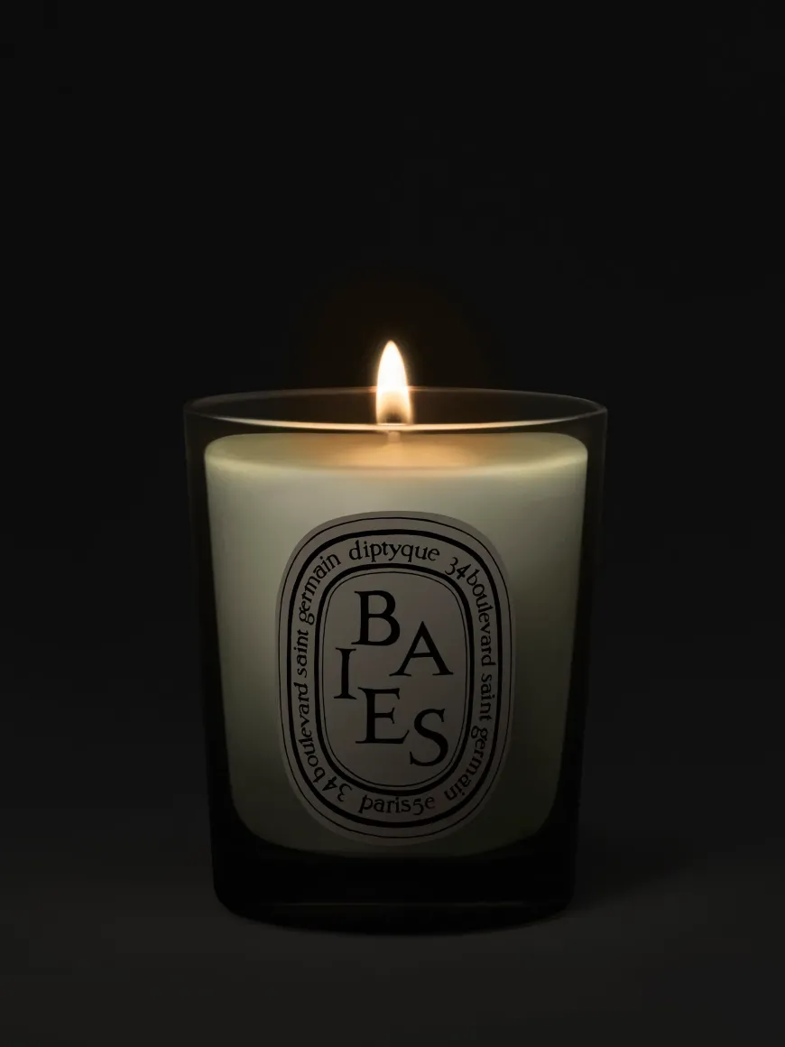 Baies (Berries) Small Candle-Diptyque Store