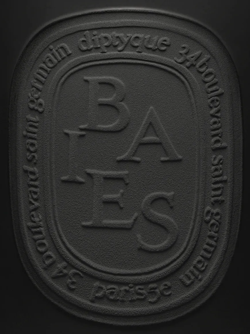 Baies (Berries) Very Large Candle-Diptyque Shop