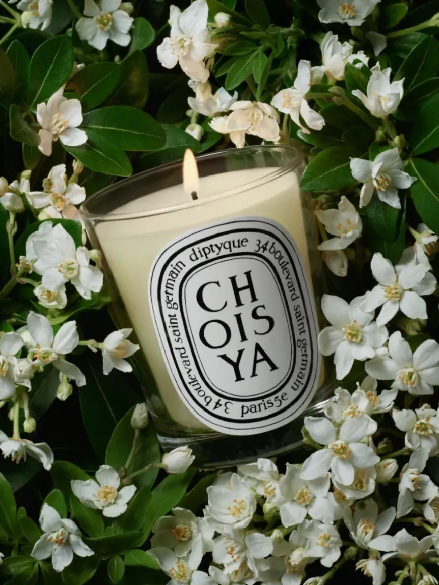 Choisya (Orange Blossom) Classic Candle-Diptyque Best