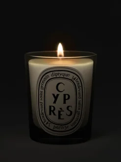 Cyprès (Cypress) Classic Candle-Diptyque Store
