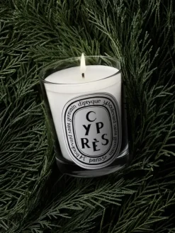 Cyprès (Cypress) Classic Candle-Diptyque Store