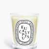 Eucalyptus Classic Candle-Diptyque Fashion