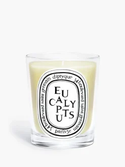 Eucalyptus Classic Candle-Diptyque Fashion