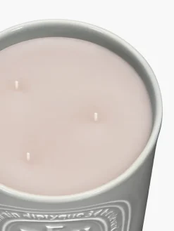 Feu de Bois (Wood Fire) Large Candle-Diptyque Fashion
