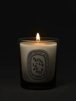 Feuille de Lavande (Lavender Leaf) Small Candle-Diptyque Store