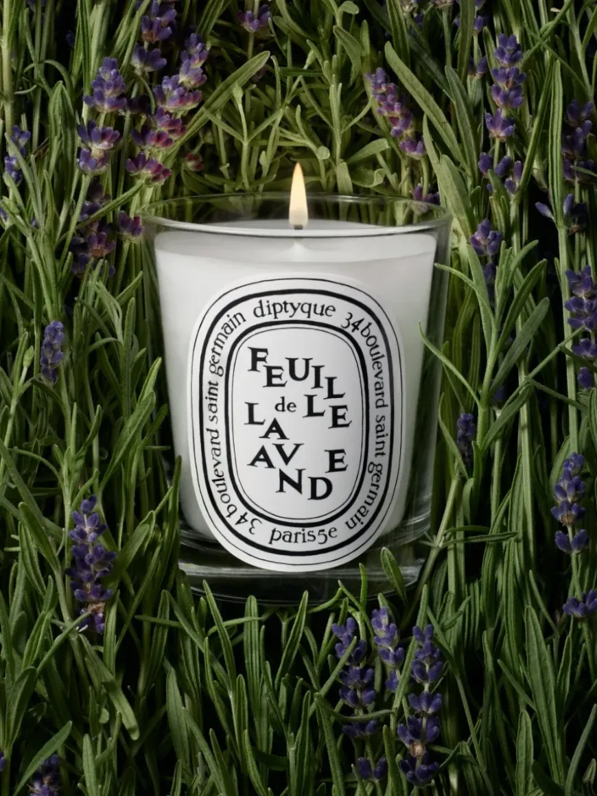 Feuille de Lavande (Lavender Leaf) Small Candle-Diptyque Store