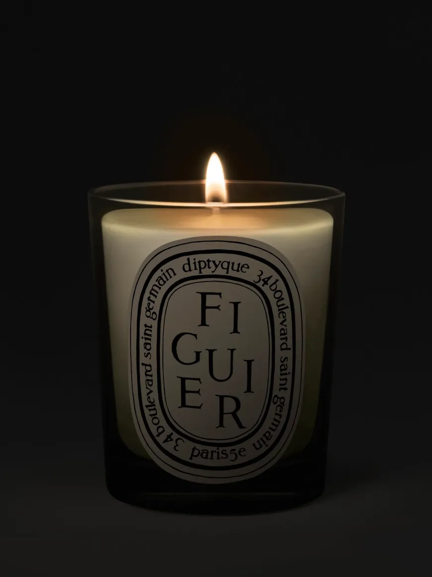 Figuier (Fig Tree) Classic Candle-Diptyque Cheap