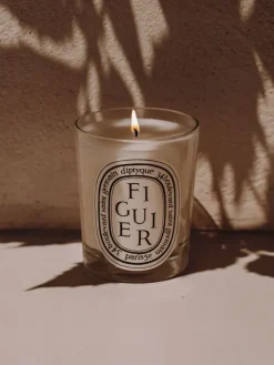 Figuier (Fig Tree) Classic Candle-Diptyque Cheap