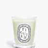 Figuier (Fig Tree) Small Candle-Diptyque Sale