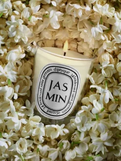 Jasmin (Jasmine) Classic Candle-Diptyque Best
