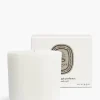 La Vallée du Temps (Valley of Time) Candle Refill-Diptyque Online