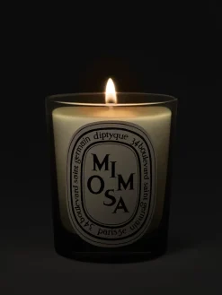 Mimosa Classic Candle-Diptyque Outlet