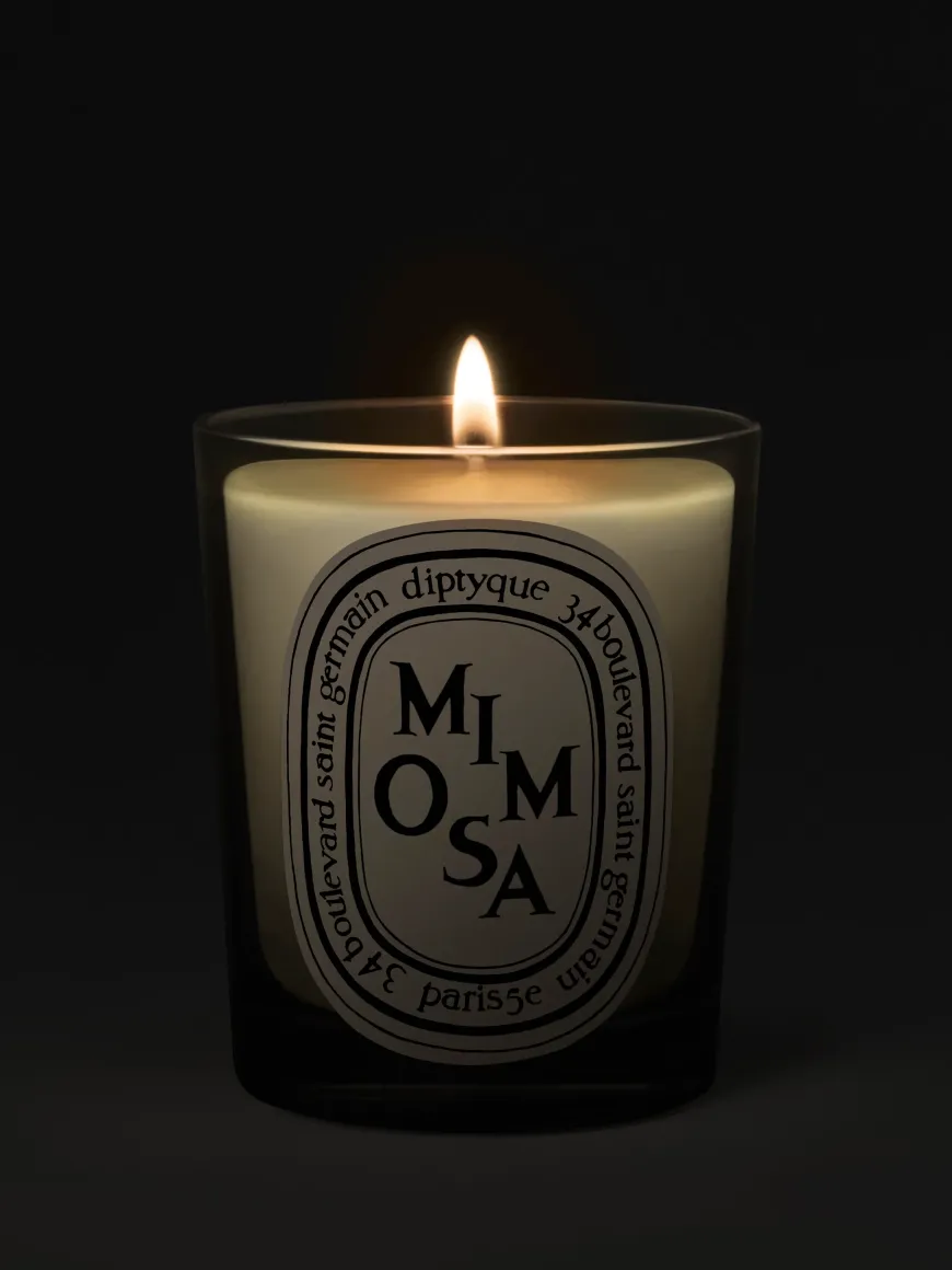 Mimosa Classic Candle-Diptyque Outlet