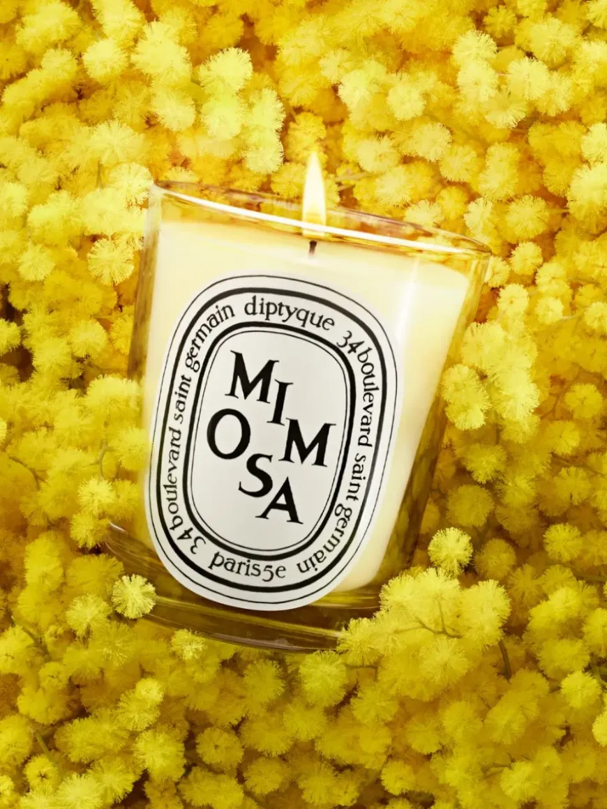 Mimosa Classic Candle-Diptyque Outlet