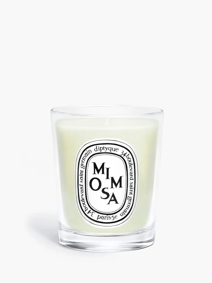 Mimosa Small Candle-Diptyque Best