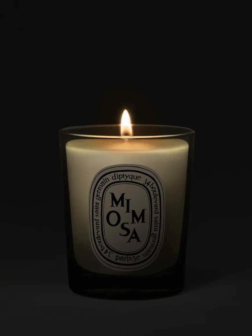 Mimosa Small Candle-Diptyque Best