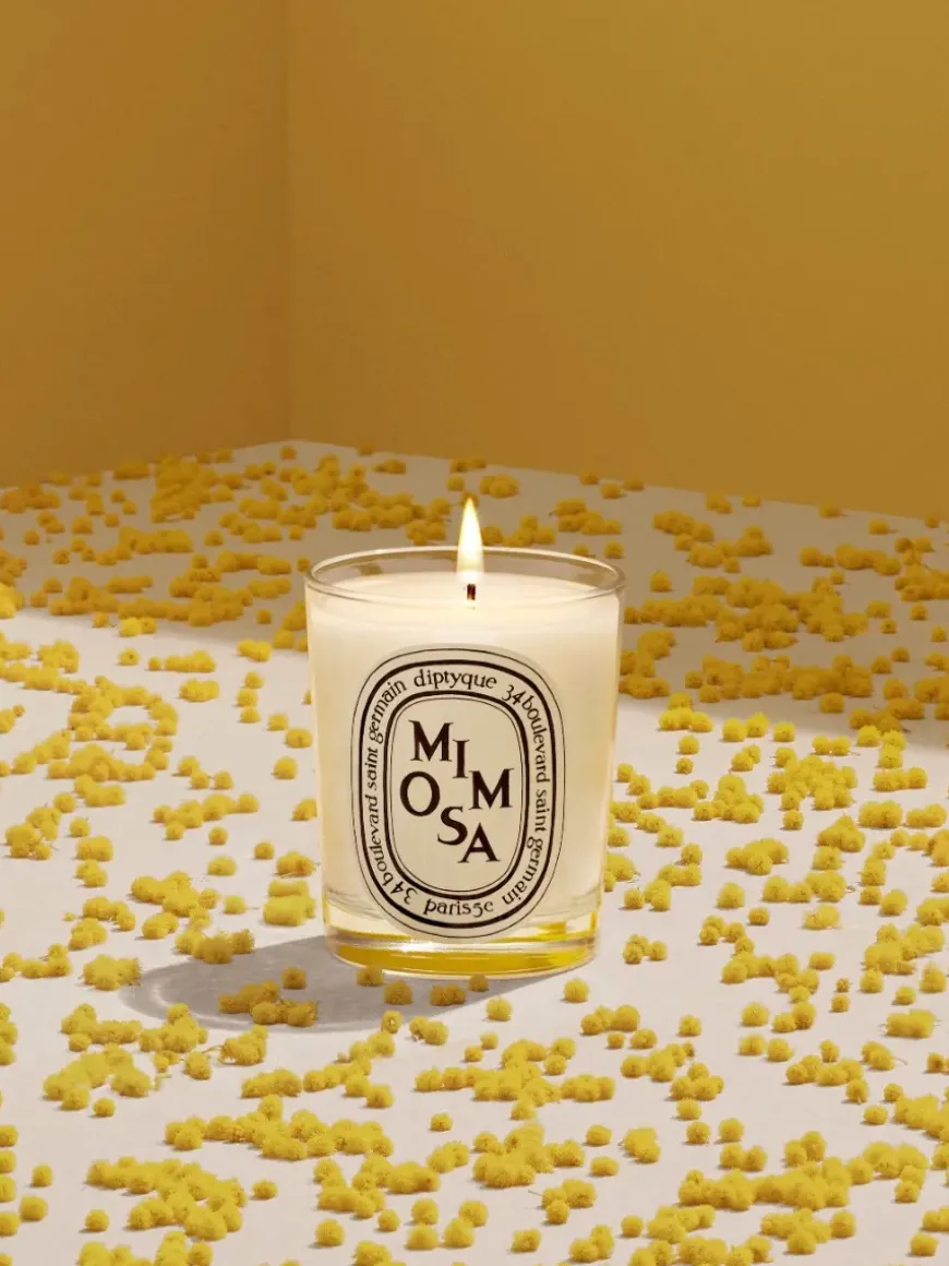 Mimosa Small Candle-Diptyque Best
