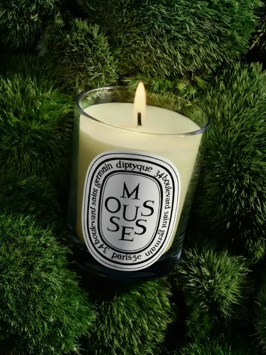 Mousses(Moss) Classic Candle-Diptyque Best Sale