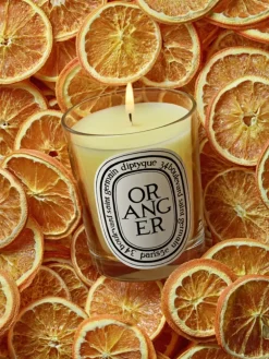 Oranger (Orange Tree) Classic Candle-Diptyque Shop