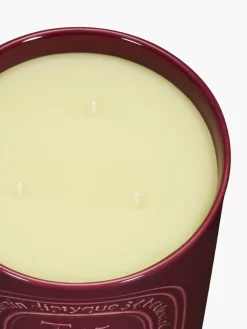 Tubéreuse (Tuberose) Large Candle-Diptyque Discount