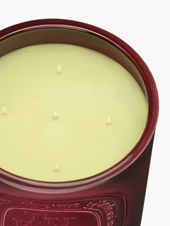 Tubéreuse (Tuberose) Very Large Candle-Diptyque Discount