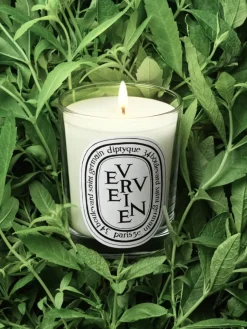 Verveine (Lemon Verbena) Classic Candle-Diptyque Fashion